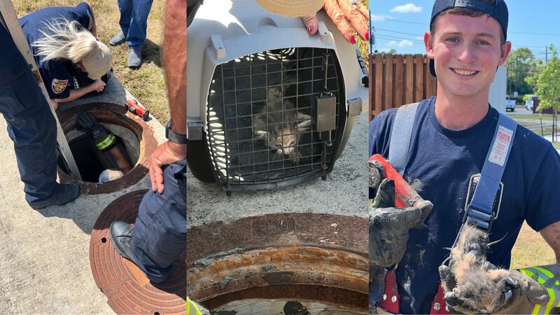 The department posted photos of the rescue on Facebook.