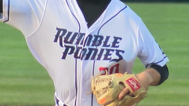 Binghamton Rumble Ponies pitcher Tyler Stuart (30) throws a pitch.